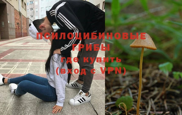 дурь Алексин