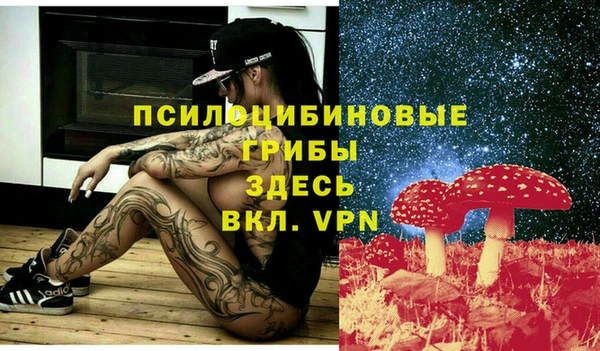 spice Абаза