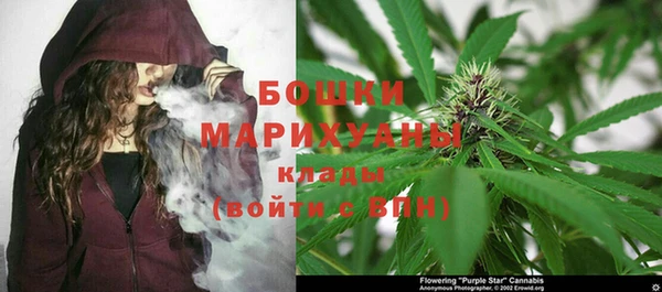 spice Абаза