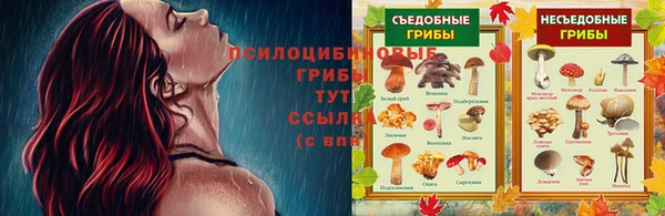метадон Абинск